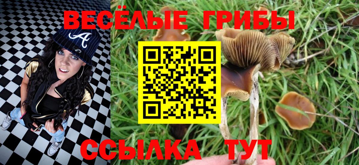 ГАШ  Городец  МЕФ кристаллы  Амфетамин кристаллы  Вейп ТГК  Вход с VPN  Марихуана  Alpha-PVP СК  