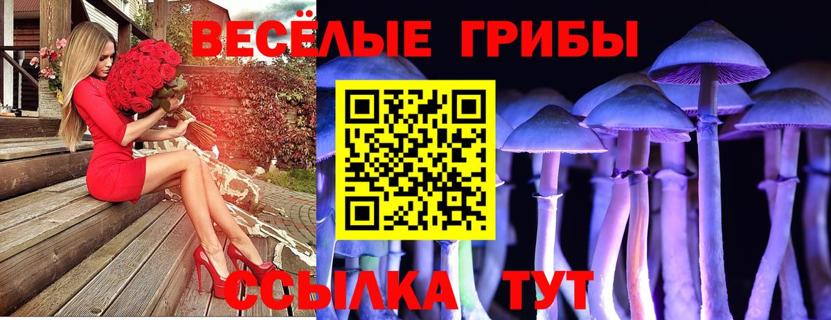 Псилоцибиновые грибы Psilocybe  Вход с VPN  наркота  Городец 