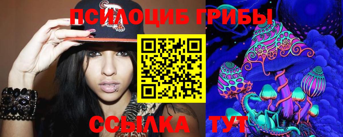 Псилоцибиновые грибы Psilocybine cubensis  где купить наркотик  Городец 